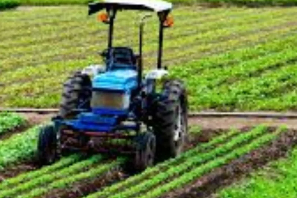 Come preparare il terreno prima della semina Come preparare il terreno prima della semina