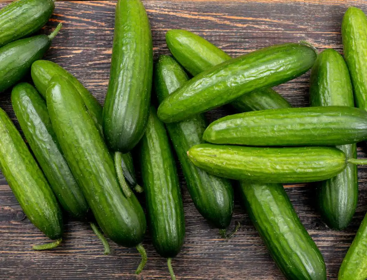 Come ottenere un raccolto perfetto di cetrioli in vaso: i consigli degli esperti per coltivarli anche sul balcone Immagine selezionata