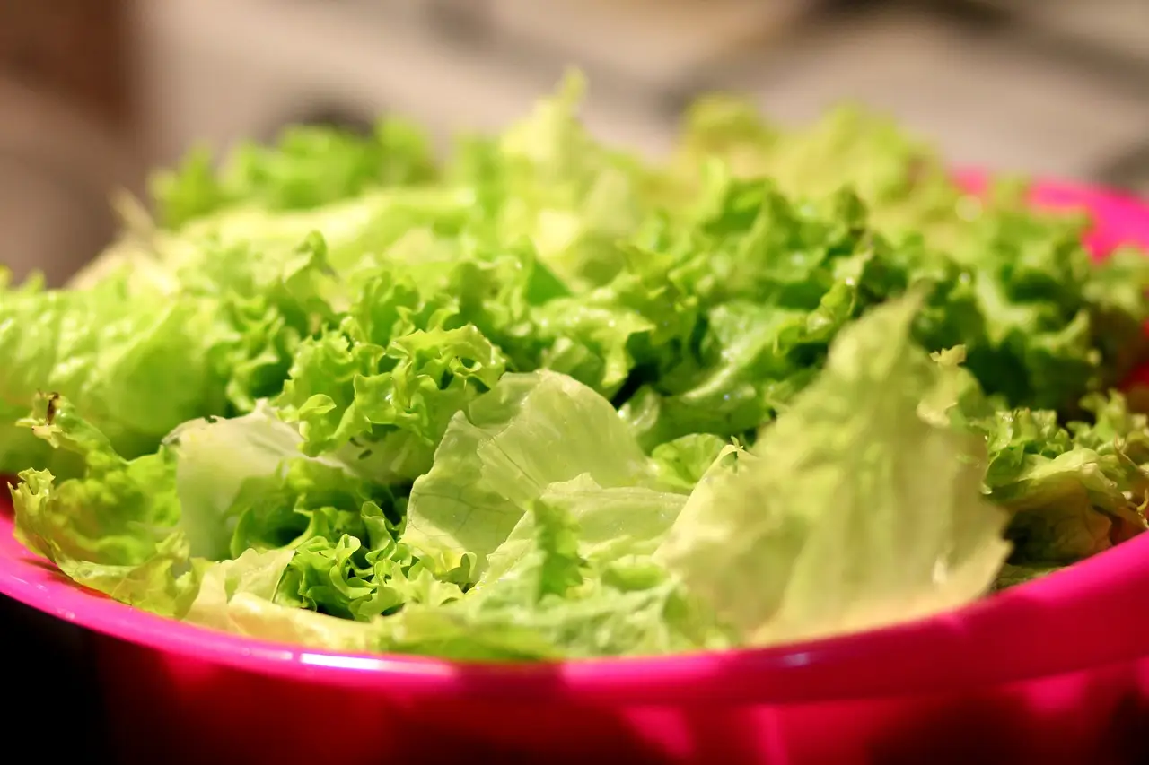 Cosa sapere sull’insalata in busta prima di acquistarla Cosa sapere sull’insalata in busta prima di acquistarla