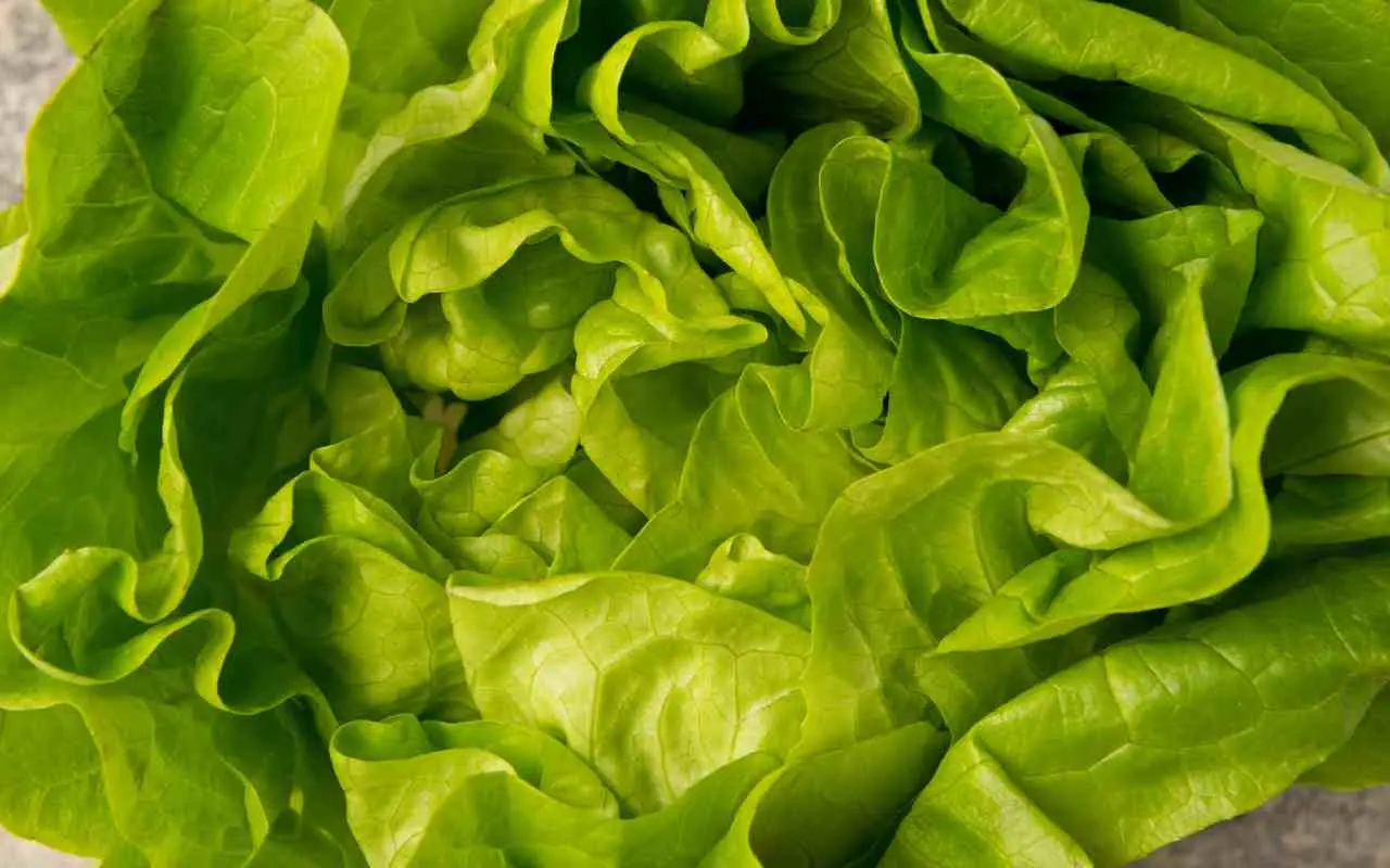 Cosa sapere sull’insalata in busta prima di acquistarla Immagine selezionata