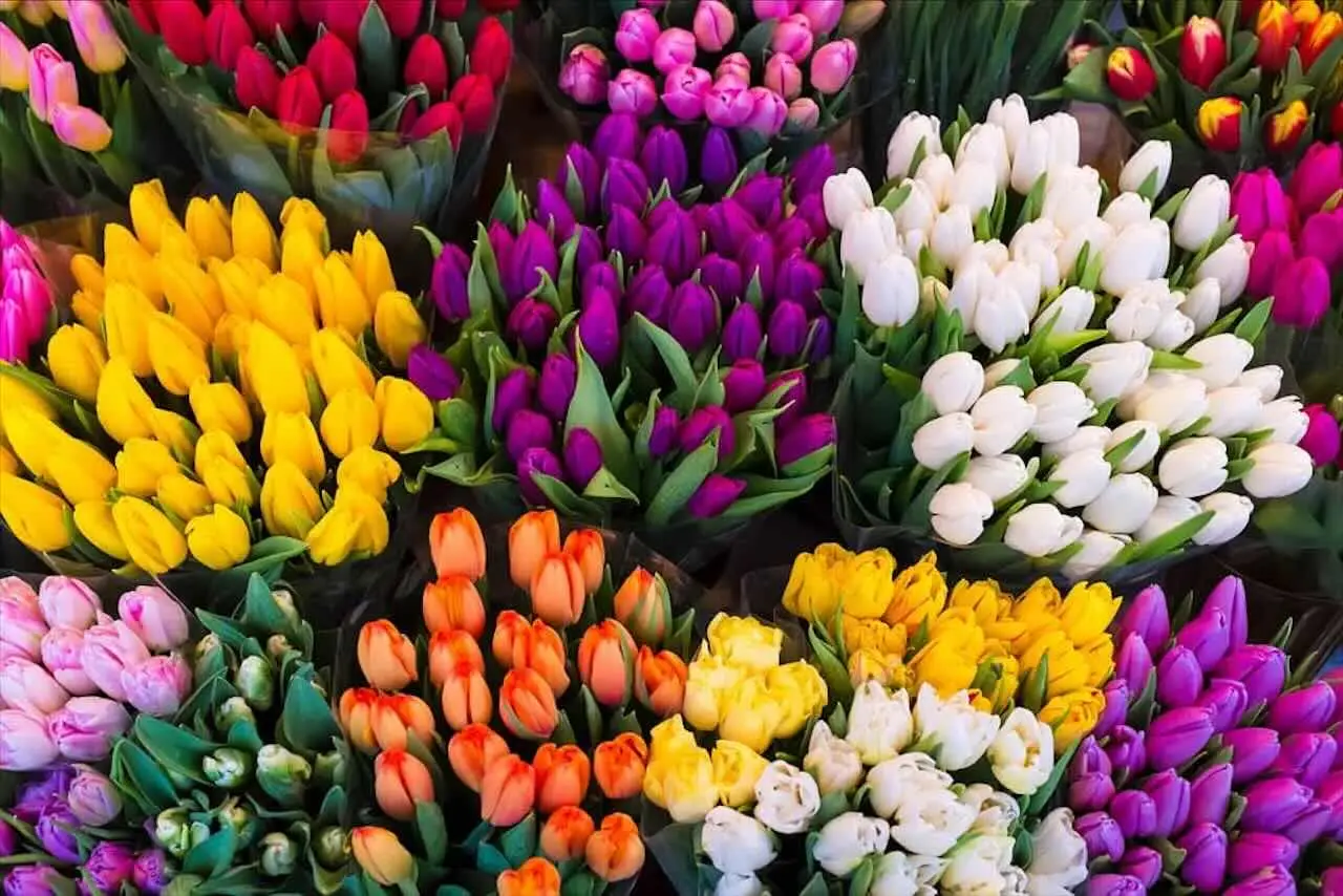 Crea il tuo capolavoro floreale: arriva l’atelier di Pasqua che tutti vogliono provare Crea il tuo capolavoro floreale: arriva l’atelier di Pasqua che tutti vogliono provare