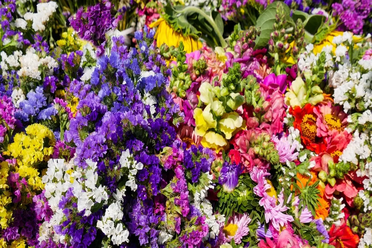 Crea il tuo capolavoro floreale: arriva l’atelier di Pasqua che tutti vogliono provare Immagine selezionata