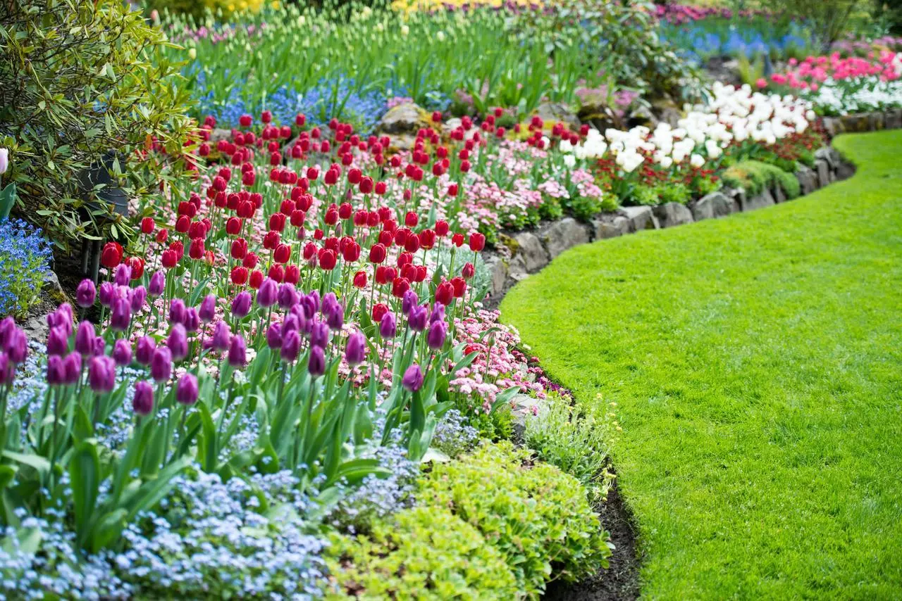 Crea il tuo capolavoro floreale: arriva l’atelier di Pasqua che tutti vogliono provare Immagine selezionata