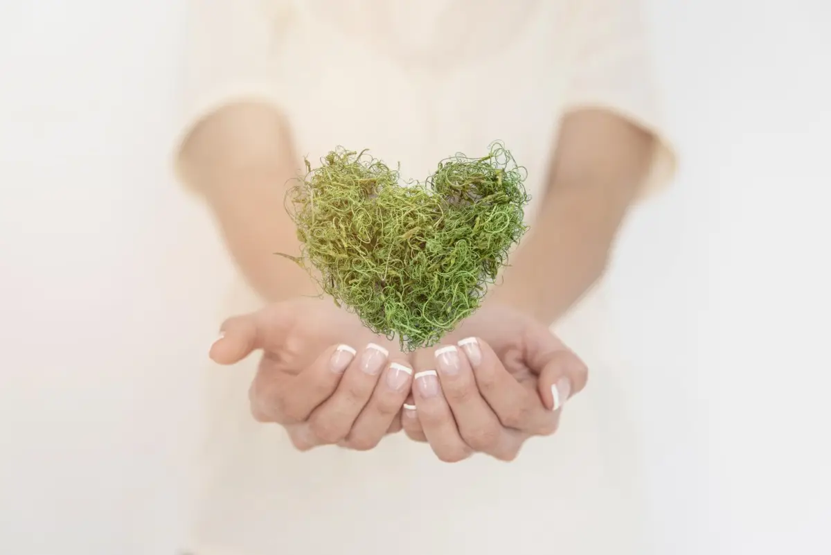 Ecco perché il tuo parco preferito potrebbe essere meno verde di quanto sembri Immagine selezionata