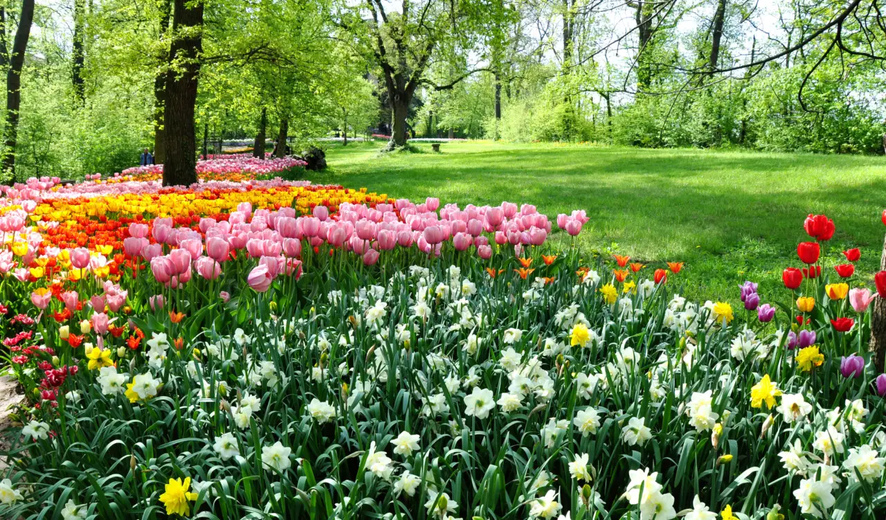 Sette attività indispensabili in giardino a maggio, per una primavera ricca di colori Sette attività indispensabili in giardino a maggio, per una primavera ricca di colori