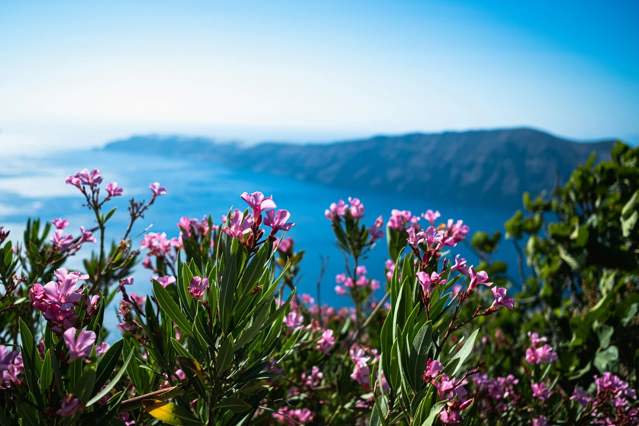 La primavera trasforma il nostro monte preferito in un tripudio di colori Immagine selezionata