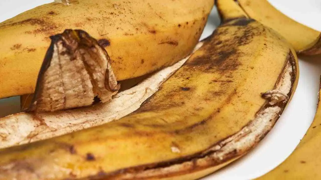Bucce di banana in giardino: ecco il trucco geniale che trasforma le tue piante! Bucce di banana in giardino: ecco il trucco geniale che trasforma le tue piante!