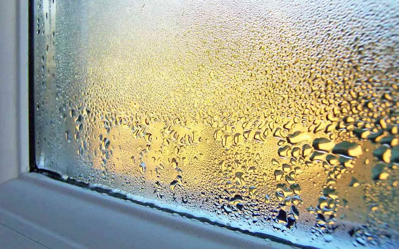 Ecco come eliminare la condensa dai vetri in modo naturale Ecco come eliminare la condensa dai vetri in modo naturale