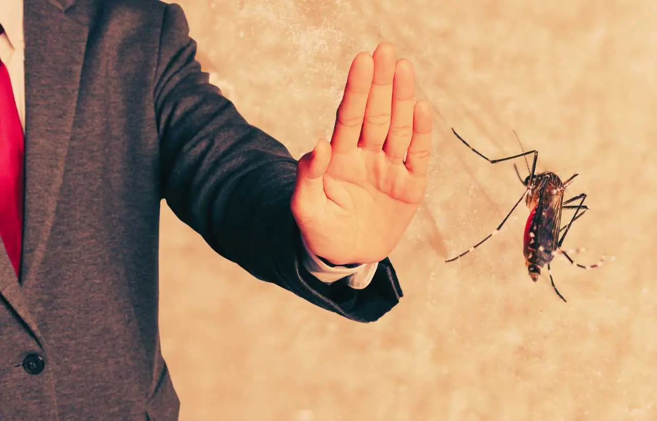 Il repellente anti-zanzare fai-da-te che funziona davvero e non ti costa nulla Il repellente anti-zanzare fai-da-te che funziona davvero e non ti costa nulla