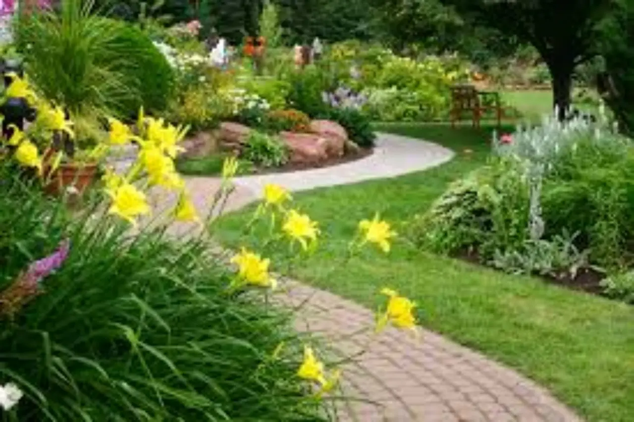 Il trucco poco noto dei giardinieri, per ottenere un prato più verde Immagine selezionata