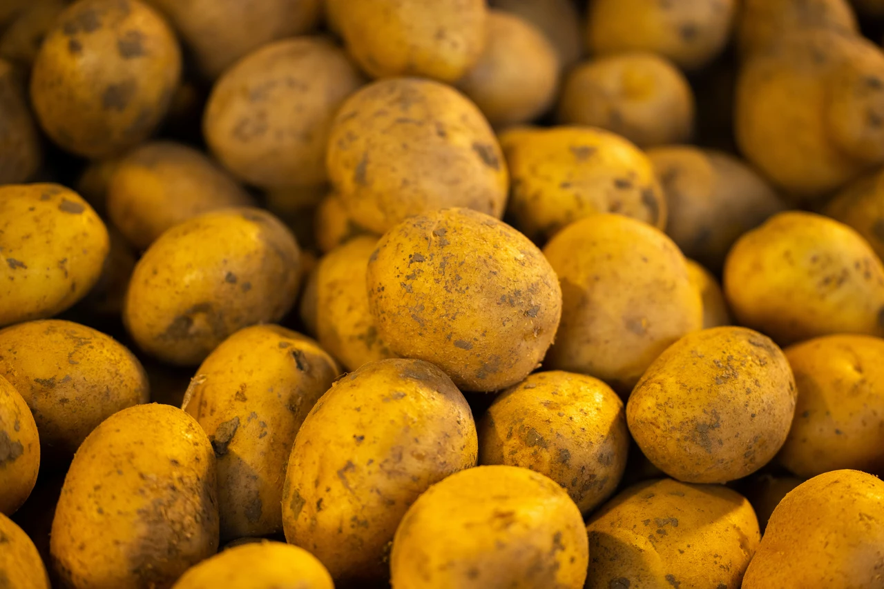 Patate croccanti al forno o fritte il metodo semplice per renderle più saporite e leggere Patate croccanti al forno o fritte il metodo semplice per renderle più saporite e leggere