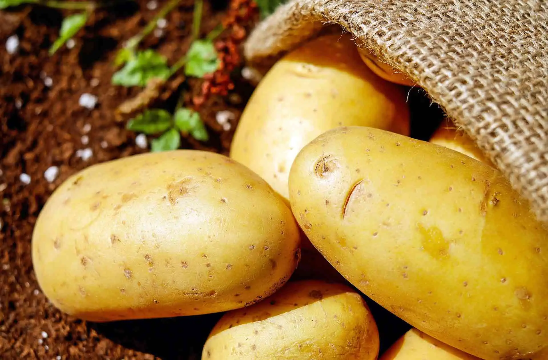 Patate croccanti al forno o fritte il metodo semplice per renderle più saporite e leggere Immagine selezionata