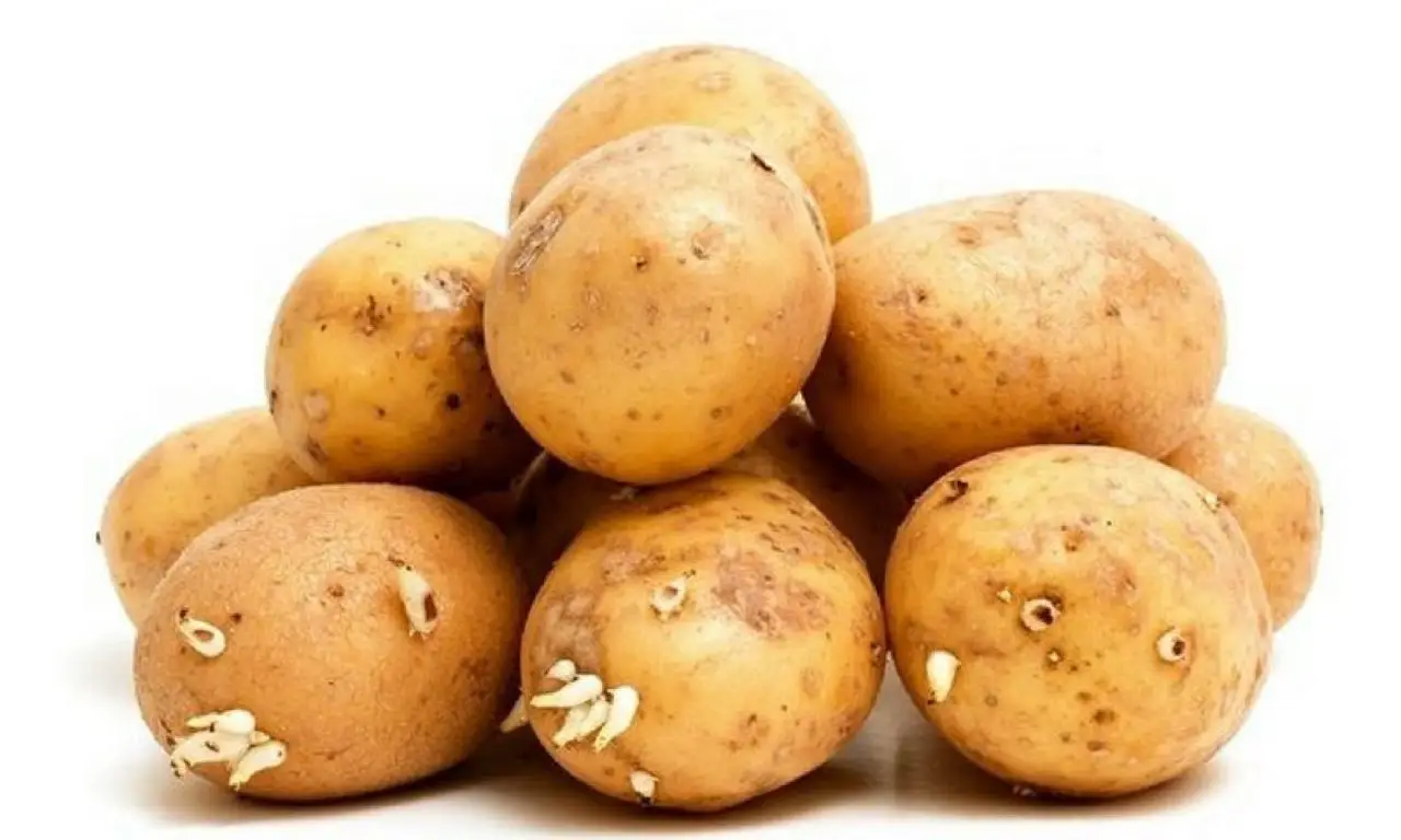 Patate croccanti al forno o fritte il metodo semplice per renderle più saporite e leggere Immagine selezionata