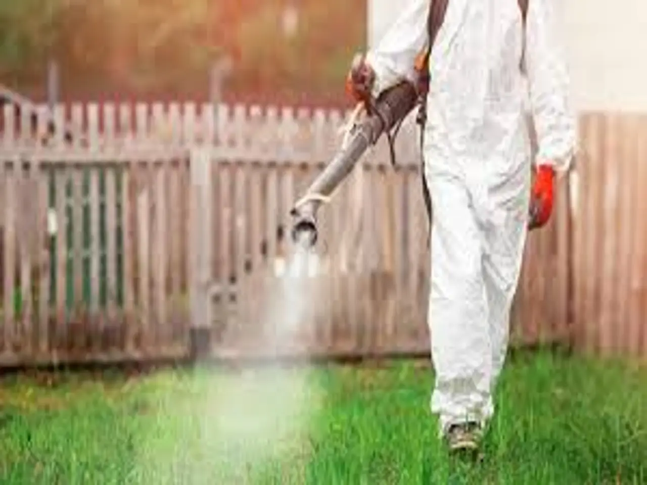 Diserbo naturale come preparare un potente erbicida al sale che pochi conoscono Diserbo naturale come preparare un potente erbicida al sale che pochi conoscono