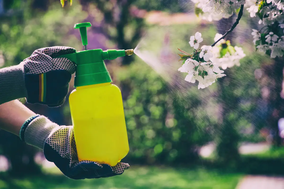 Diserbo naturale come preparare un potente erbicida al sale che pochi conoscono Diserbo naturale come preparare un potente erbicida al sale che pochi conoscono