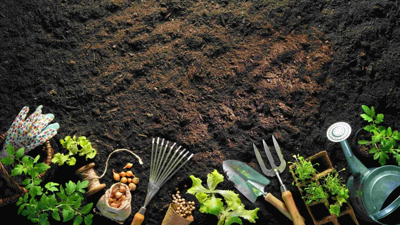 Terriccio fai-da-te: la miscela ideale per piante sane secondo l’agronomo Bianchi Terriccio fai-da-te: la miscela ideale per piante sane secondo l’agronomo Bianchi