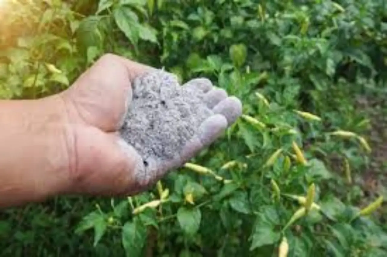 Concimare con la cenere: ecco quali piante lo adorano Concimare con la cenere: ecco quali piante lo adorano
