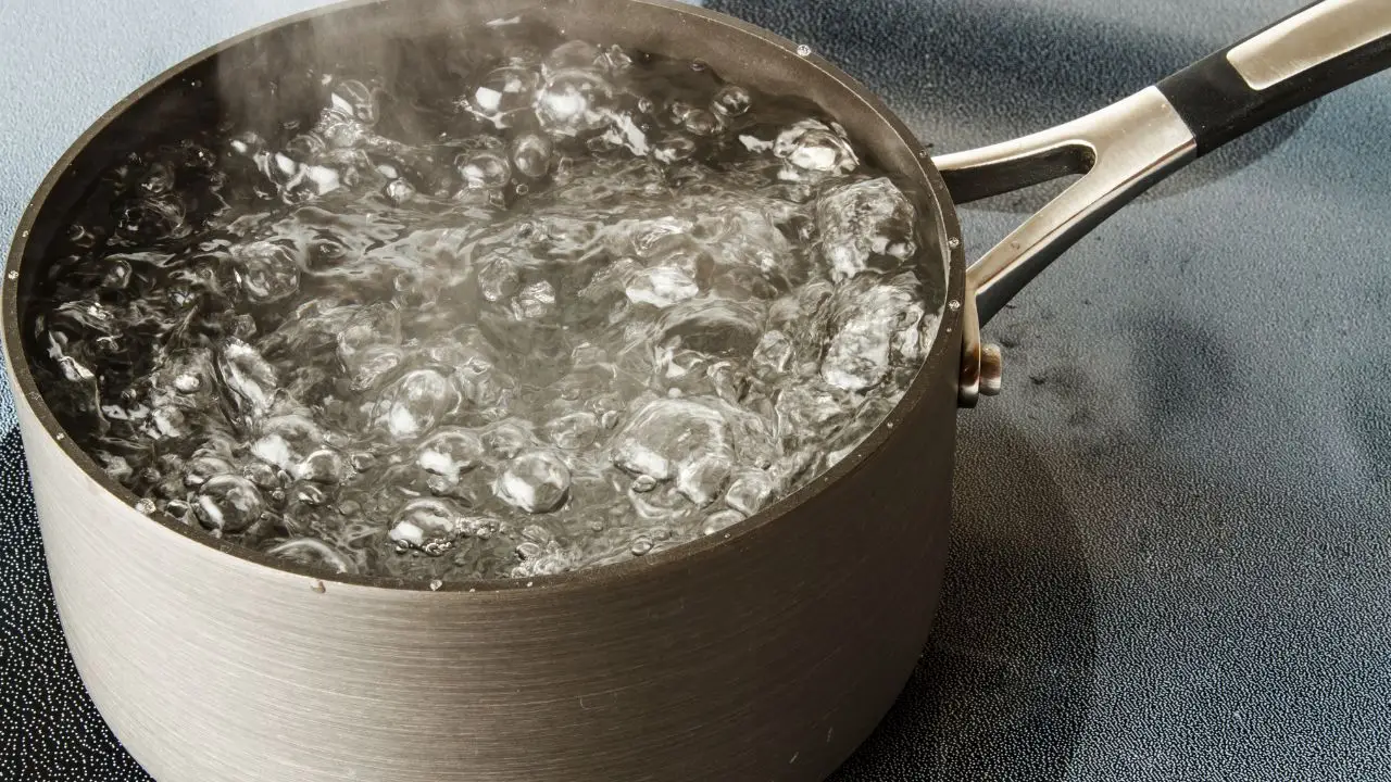 Come utilizzare l'acqua di cottura delle verdure per migliorare il terreno Come utilizzare l'acqua di cottura delle verdure per migliorare il terreno